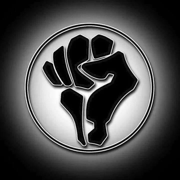 Meet your Posher, Darryl - Picture 1 of 1